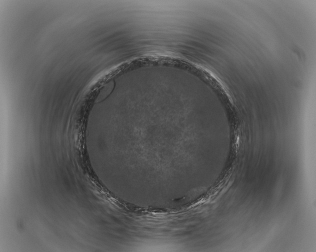 X0000112800919200908281525