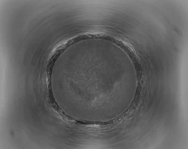 X0000112800920200908281525