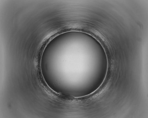 X0000112800922200908281525