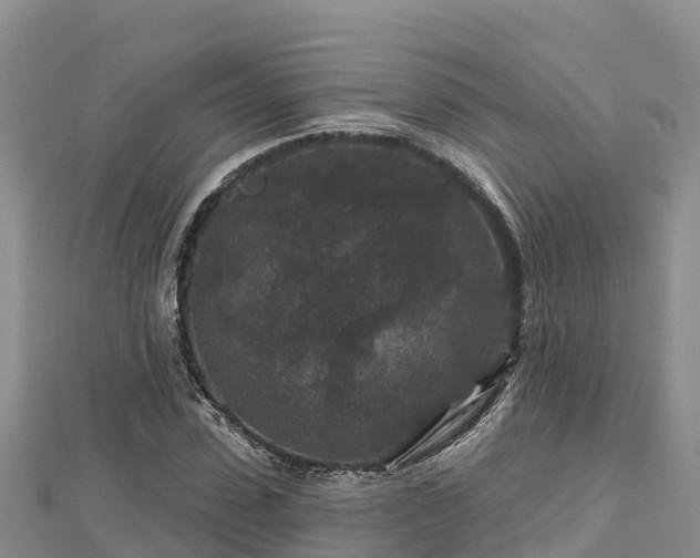 X0000112800923200908281525