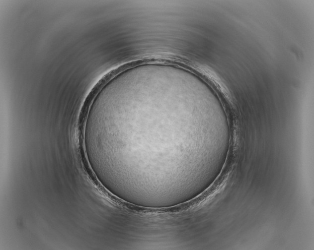 X0000112800924200908281525