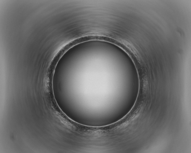 X0000112800926200908281525