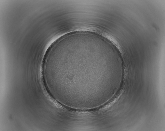 X0000112800928200908281525