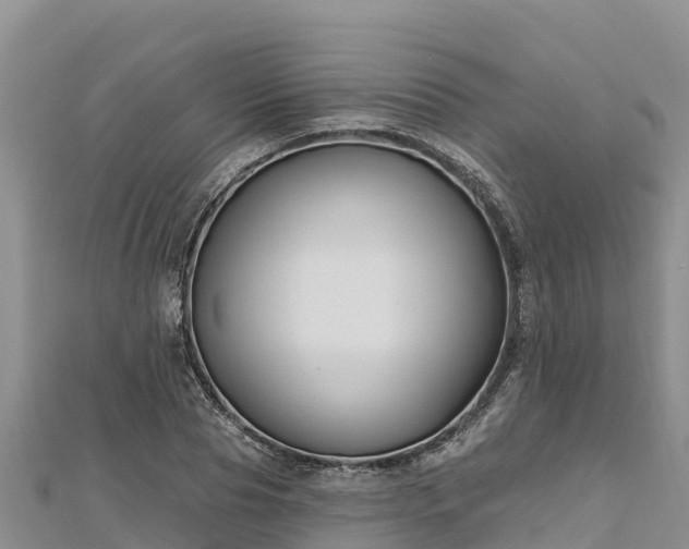 X0000112800929200908281525