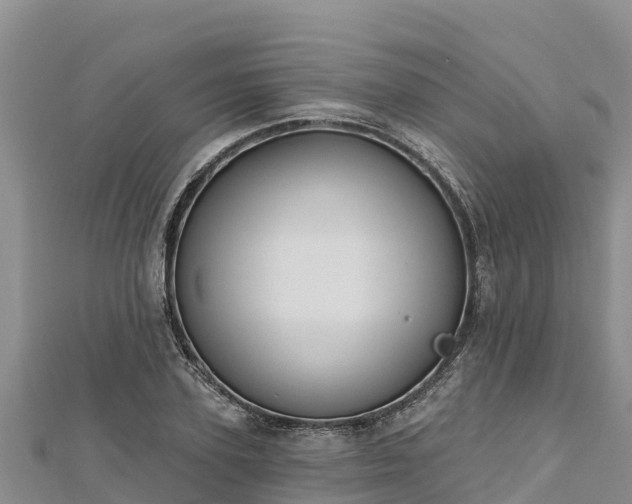 X0000112800931200908281525