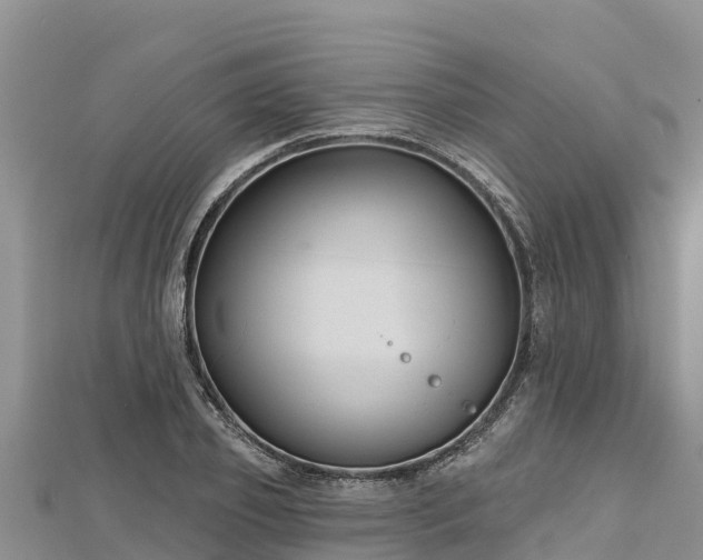 X0000112800933200908281525