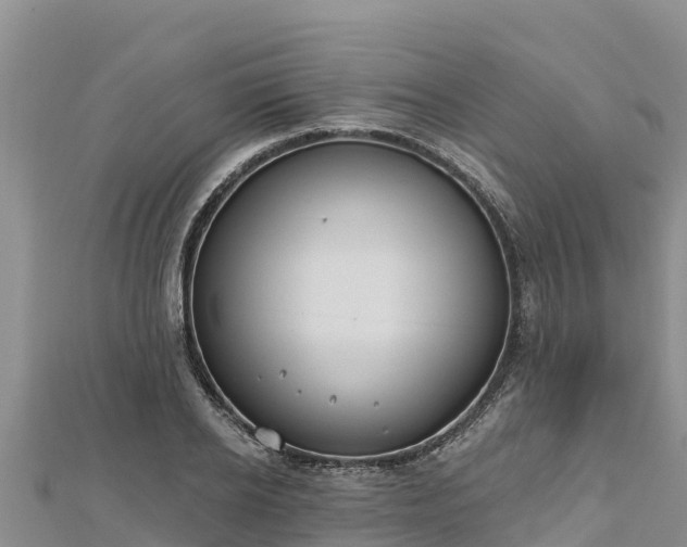 X0000112800934200908281525