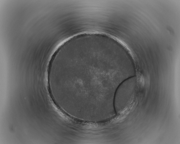 X0000112800935200908281525