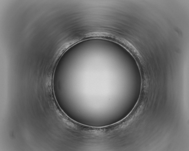 X0000112800937200908281525
