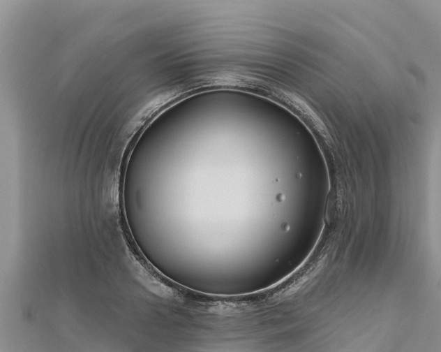 X0000112800938200908281525