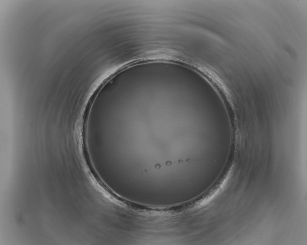 X0000112800941200908281525
