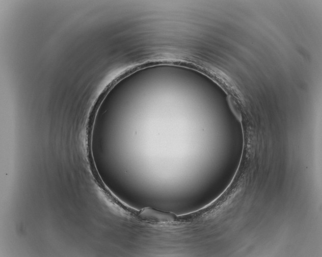 X0000112800942200908281525