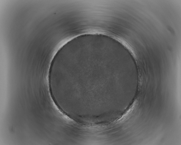 X0000112800943200908281525