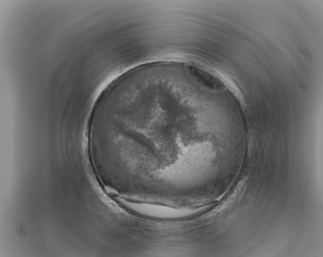 X0000112800944200908281525