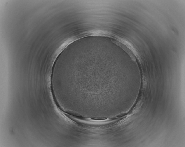 X0000112800946200908281525