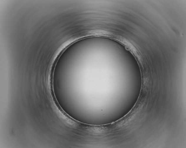 X0000112800947200908281525