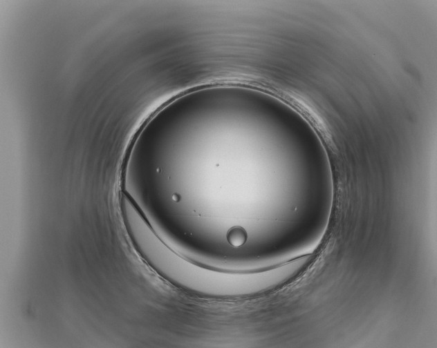 X0000112800948200908281525