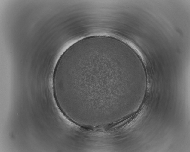 X0000112800951200908281525