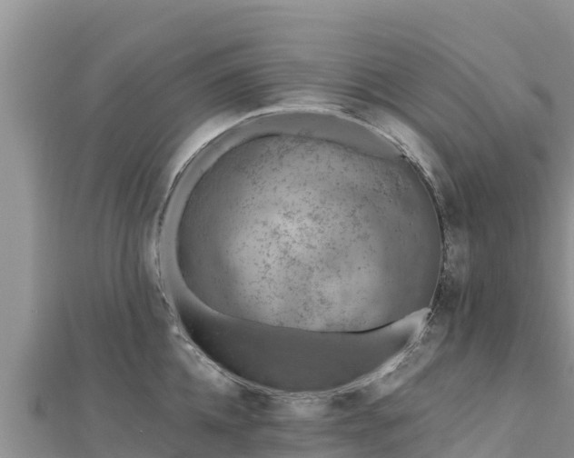 X0000112800952200908281525