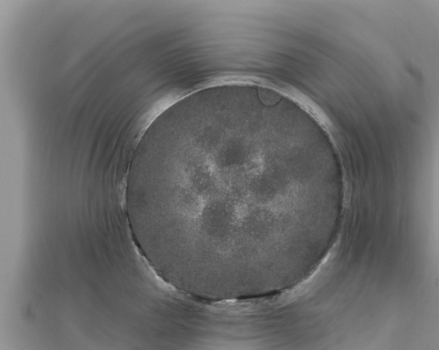 X0000112800953200908281525