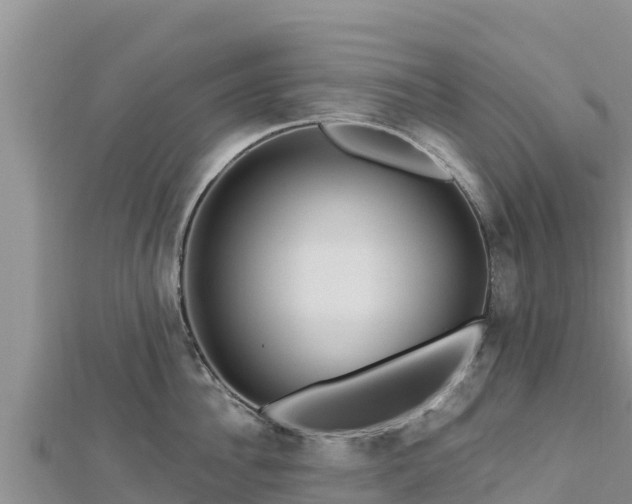 X0000112800956200908281525