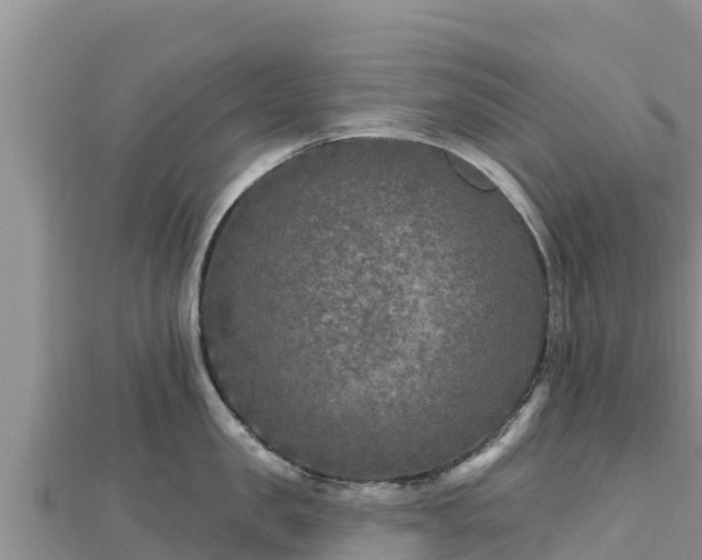 X0000112800957200908281525