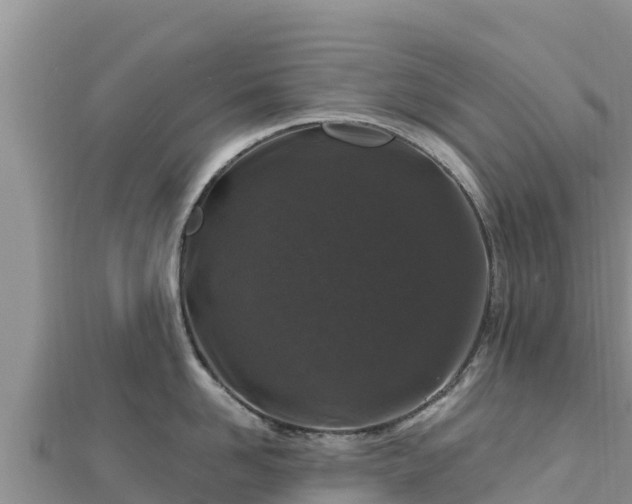 X0000112800958200908281525