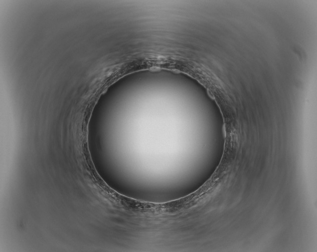 X0000112800961200908281525
