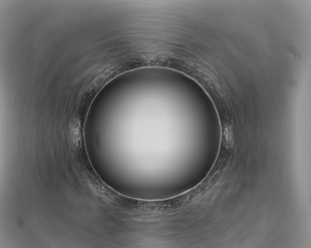 X0000112800963200908281525