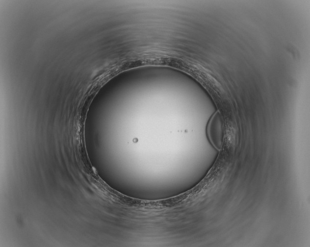 X0000112800964200908281525