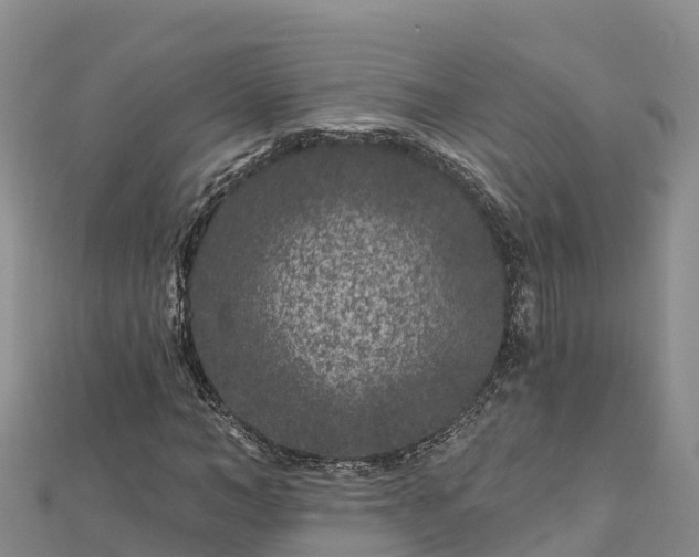X0000112800966200908281525