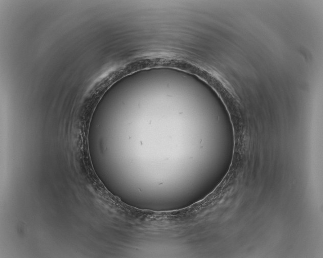 X0000112800967200908281525