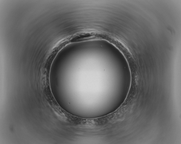 X0000112800968200908281525