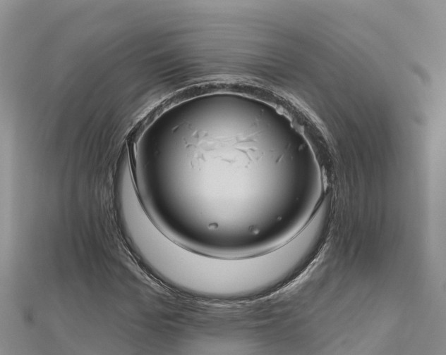 X0000112800969200908281525