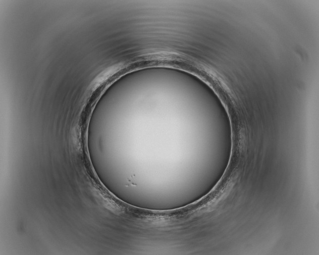 X0000112800970200908281525
