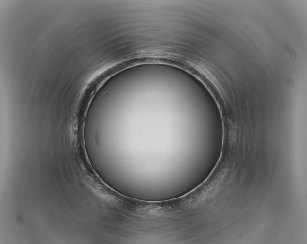 X0000112800971200908281525