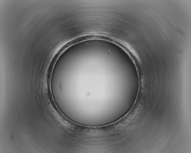 X0000112800972200908281525