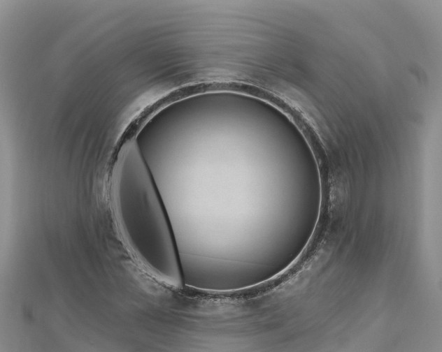 X0000112800973200908281525