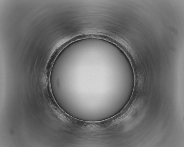 X0000112800974200908281525