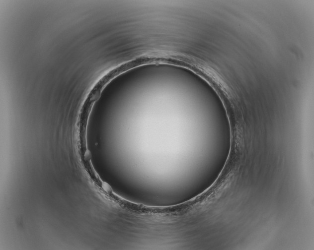 X0000112800976200908281524