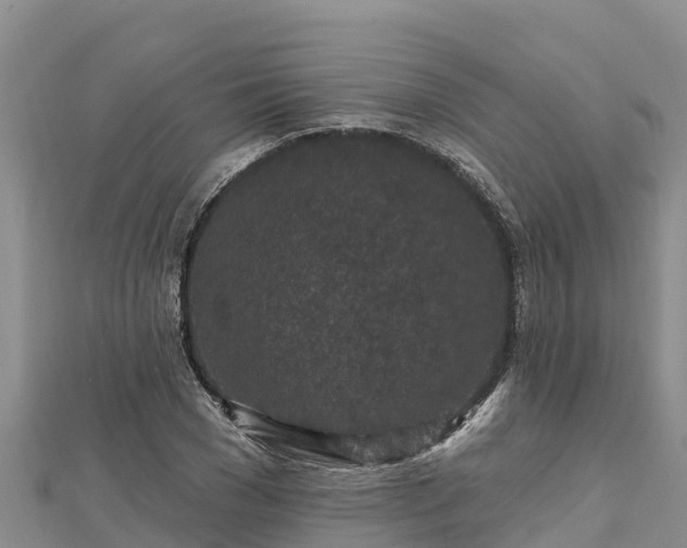 X0000112800977200908281524