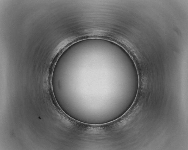 X0000112800978200908281524