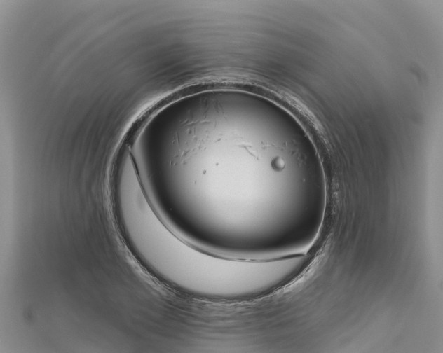 X0000112800981200908281524