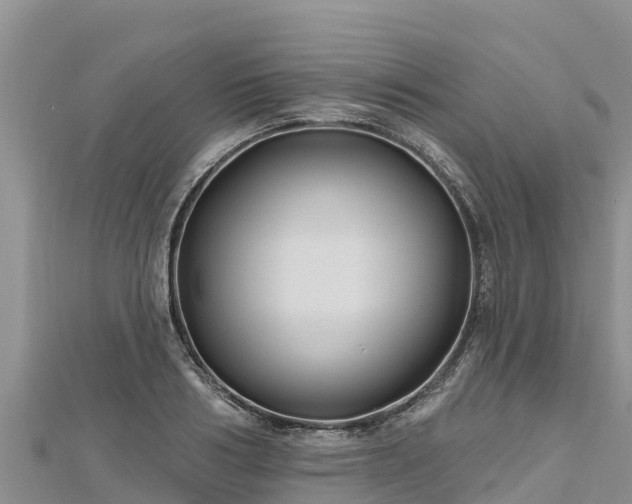 X0000112800986200908281524