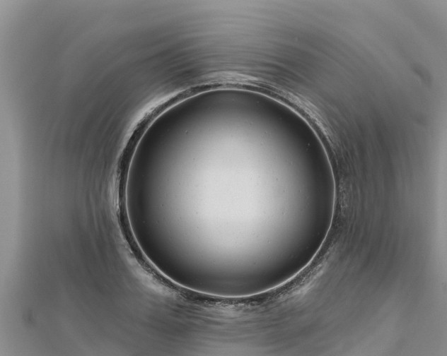 X0000112800987200908281524