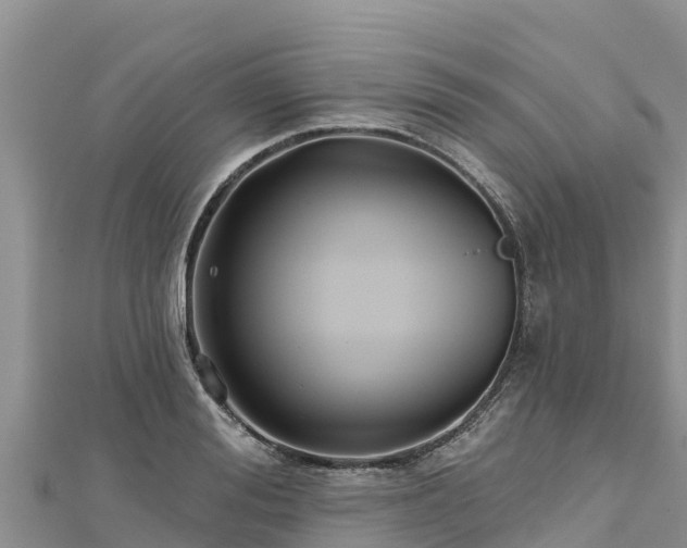 X0000112800988200908281524