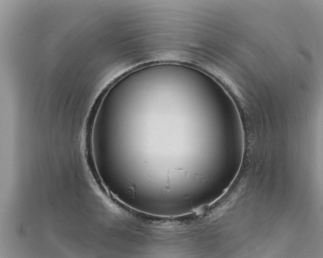 X0000112800991200908281524