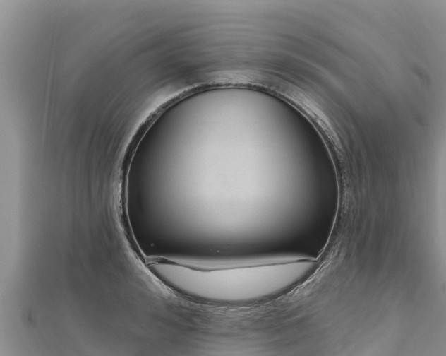 X0000112800992200908281524