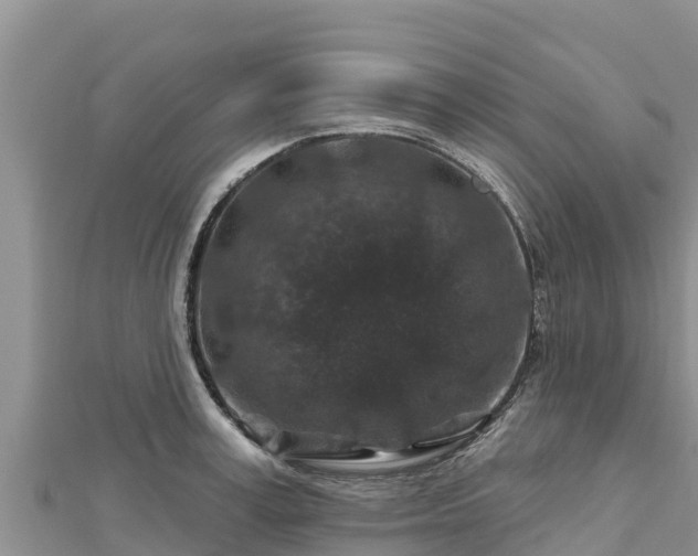 X0000112800995200908281524