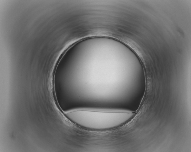 X0000112800996200908281524
